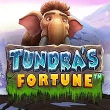Tundras Fortune